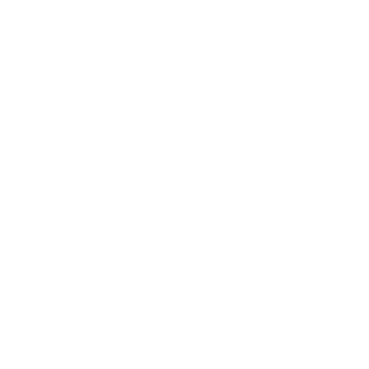 Roofing and repairs white